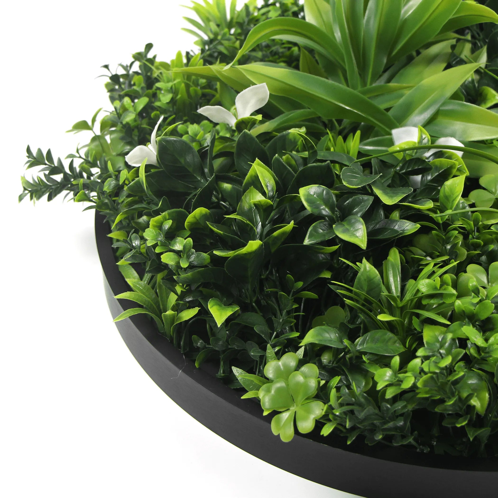 Artificial Green Wall Disc