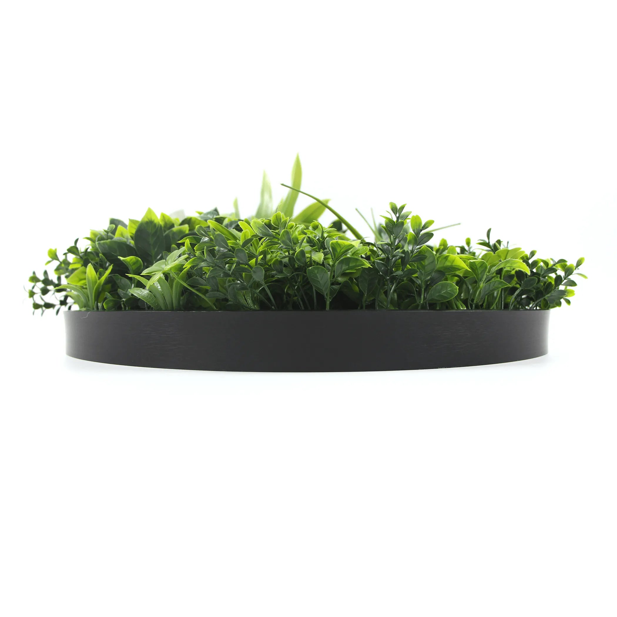 Artificial Green Wall Disc