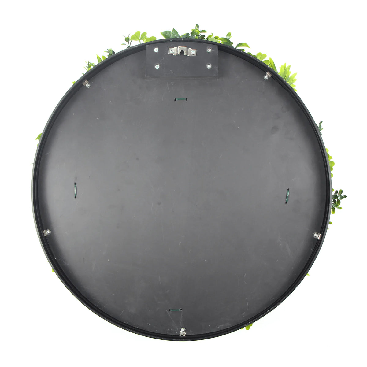 Artificial Green Wall Disc