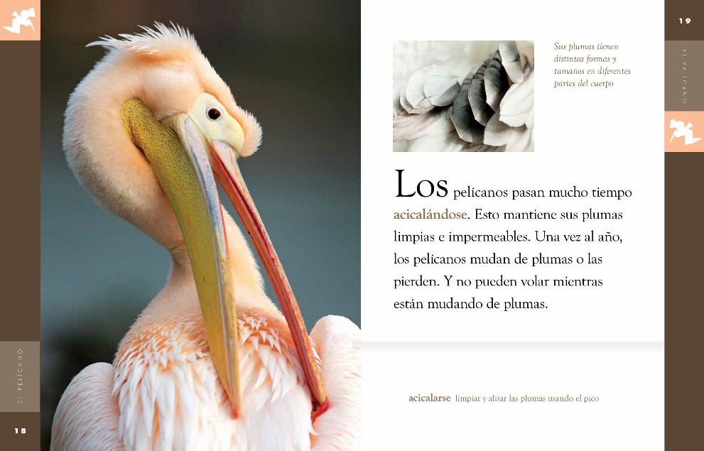 Planeta animal - Classic Edition Series