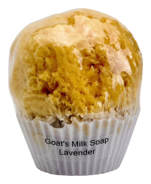 Cupcake Soap with a Natural Sea Sponge