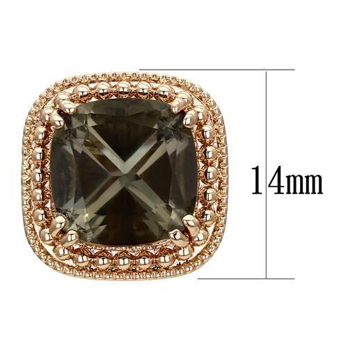 TK1674 - IP Rose Gold(Ion Plating) Stainless Steel Earrings with Genuine Stone in Brown