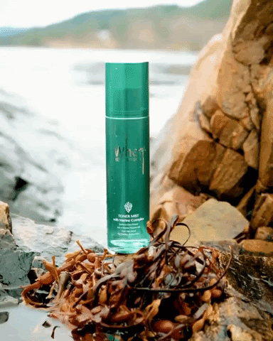 Revivifying Toner Mist With Marine Complex - When