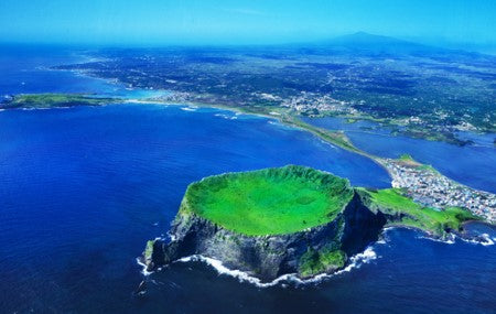 Vegan Green Tea Soothing & Relaxing Sheet Mask - Simply When