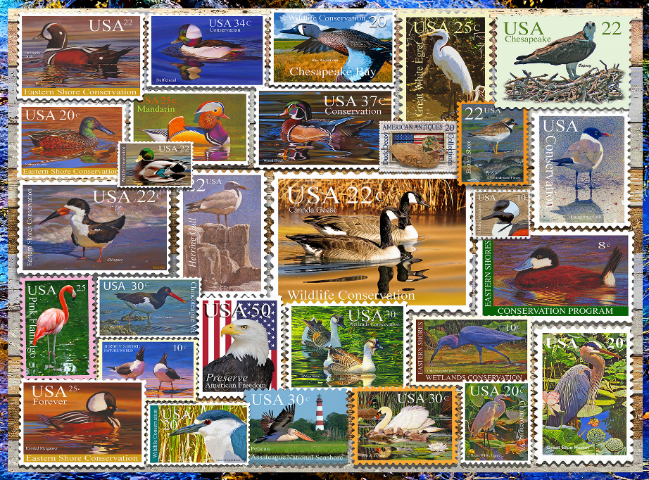 Birds of Our Shores Stamps 1000-Piece Puzzle