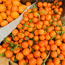 Exfoliating Detox Cleanser