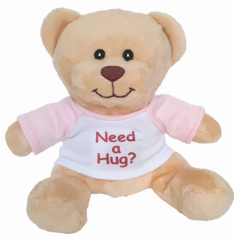 "Need a Hug" Small Super Cute Teddy Bear