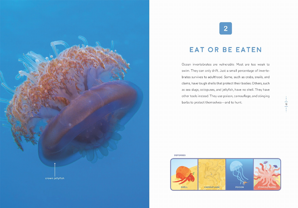 Down in the Ocean Series