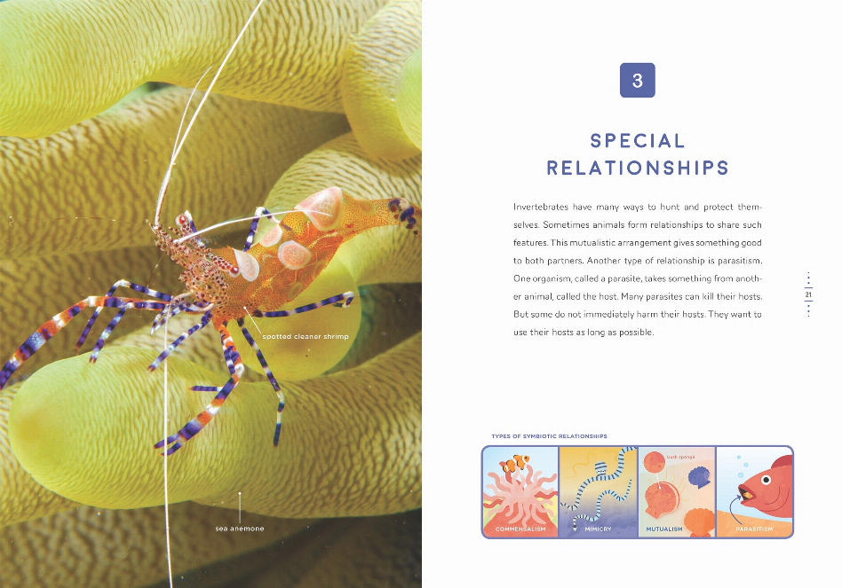 Down in the Ocean Series