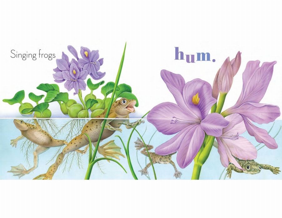 Sounds of the Forest