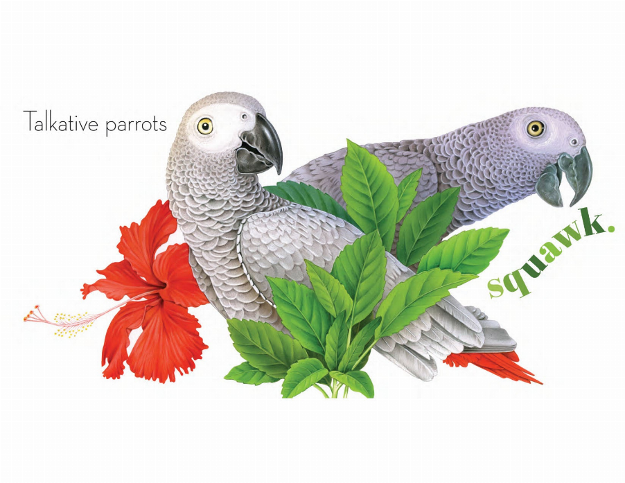 Sounds of the Forest