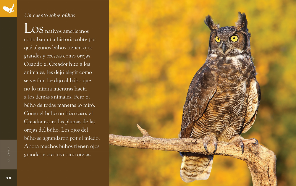 Planeta animal - New Edition Series