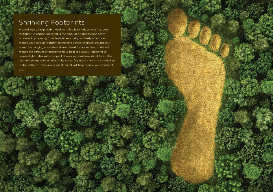 Odysseys in the Environment Series