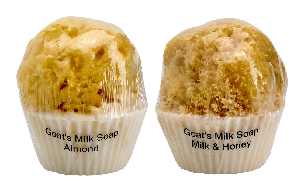 Cupcake Soap with a Natural Sea Sponge
