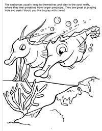 Underwater Adventures Big Coloring Books
