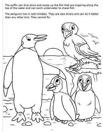 Underwater Adventures Big Coloring Books