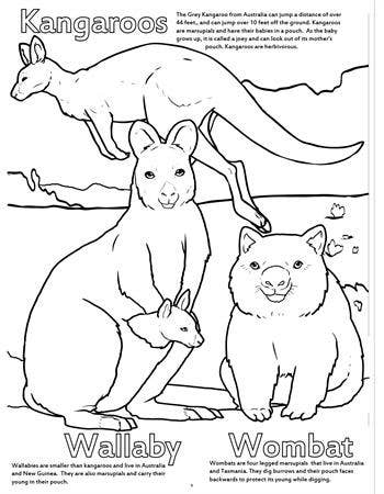 Zoo Animals Really Big Coloring Books