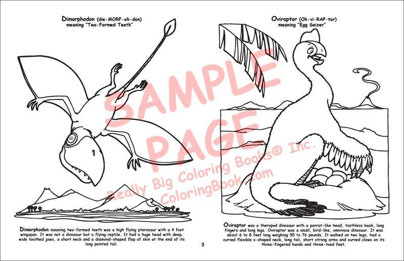 Dinosaur LapTop Coloring Book