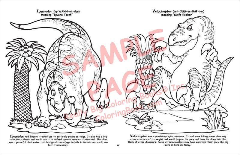 Dinosaur LapTop Coloring Book