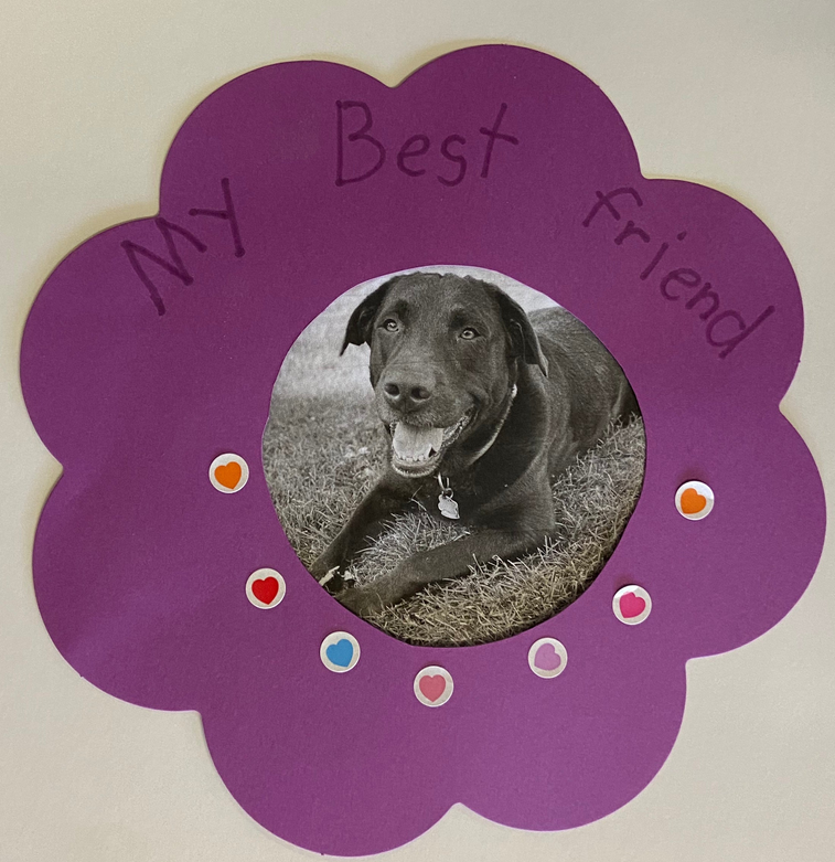 Theme Incentive Chart - Set of 5