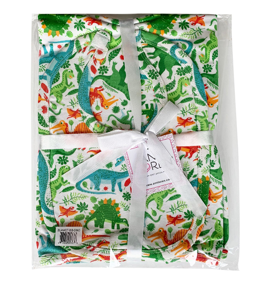 AnnLoren Baby Toddler Boy Blanket & Bib Gift Set 2 piece Knit Cotton