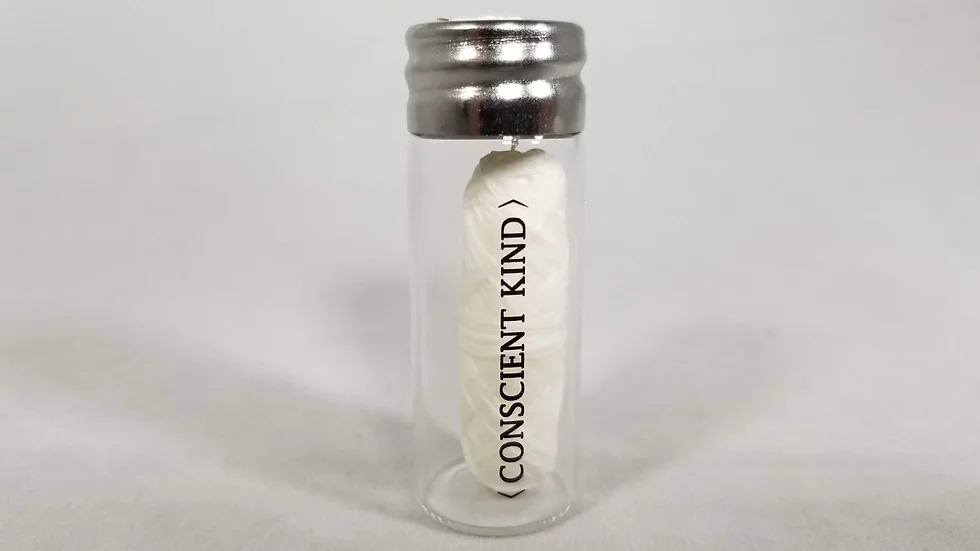 Vegan Waxed Zero-Waste Dental Floss - Mint