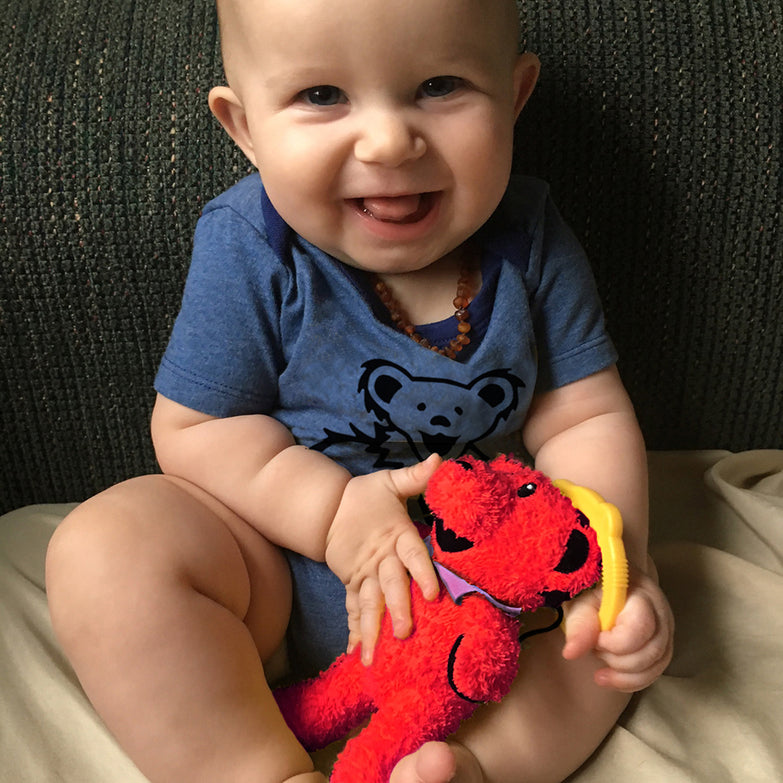 Grateful Dead Interactive Plush Dancing Bear