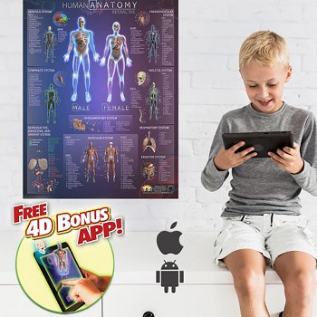 Human Anatomy Smart Chart