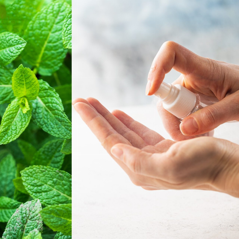 Sanitizing Spray Travel Size Display