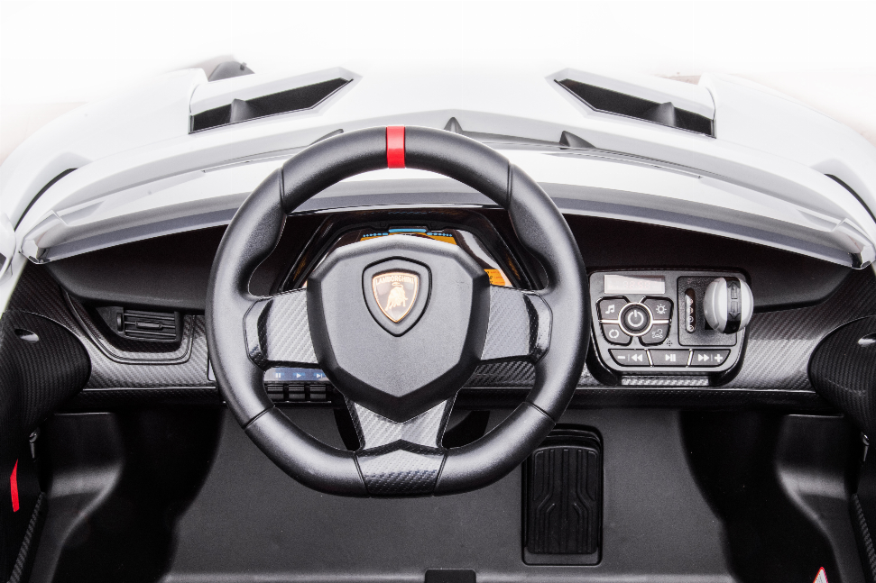 24V 4x4 Lamborghini Veneno 2 Seater Ride on Car