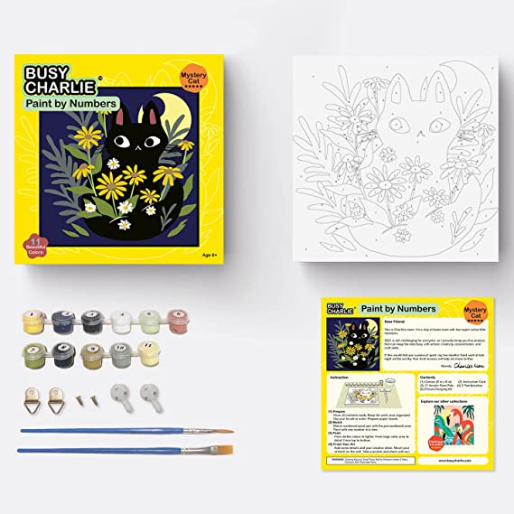 Paint by Numbers Kit for Kids Assortment