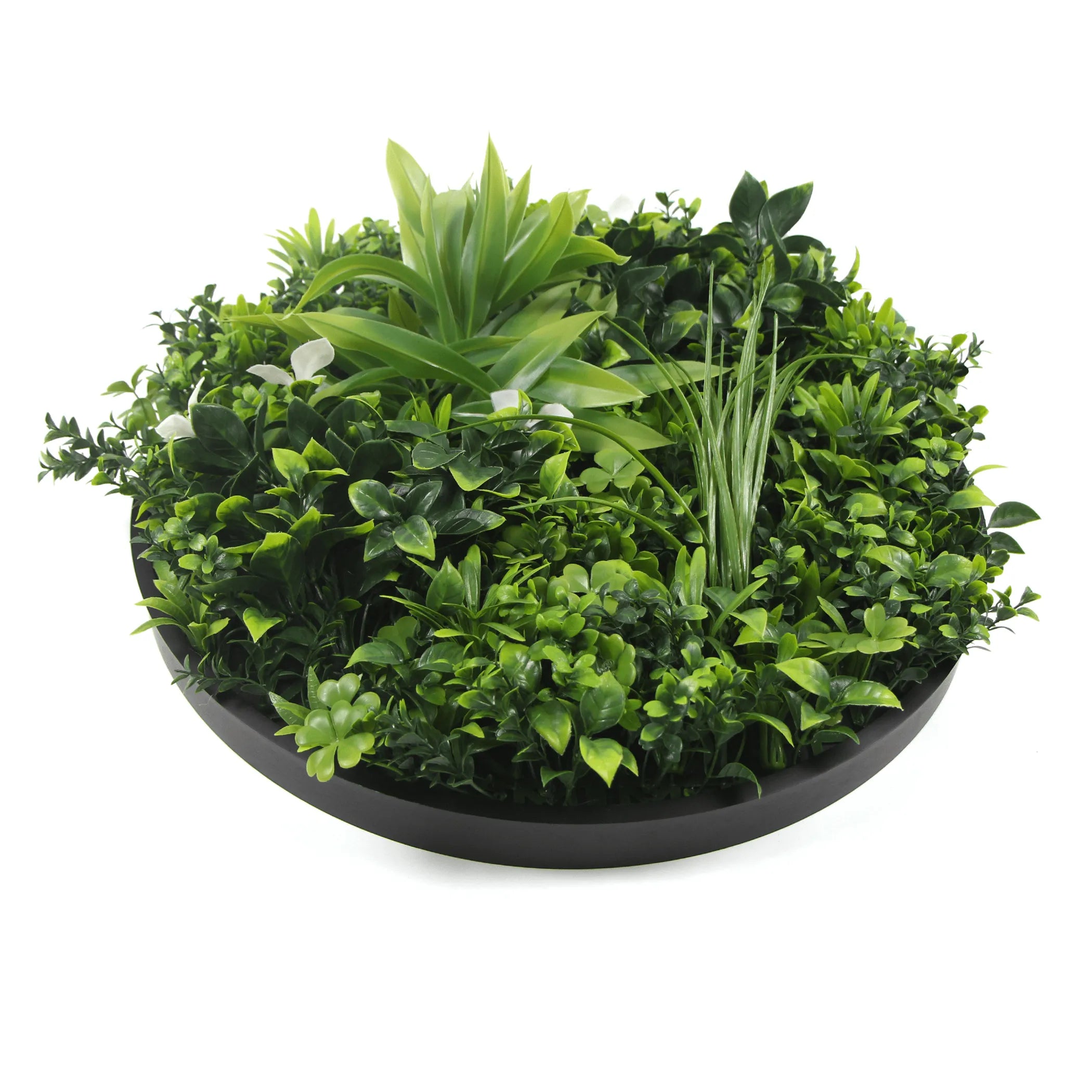 Artificial Green Wall Disc