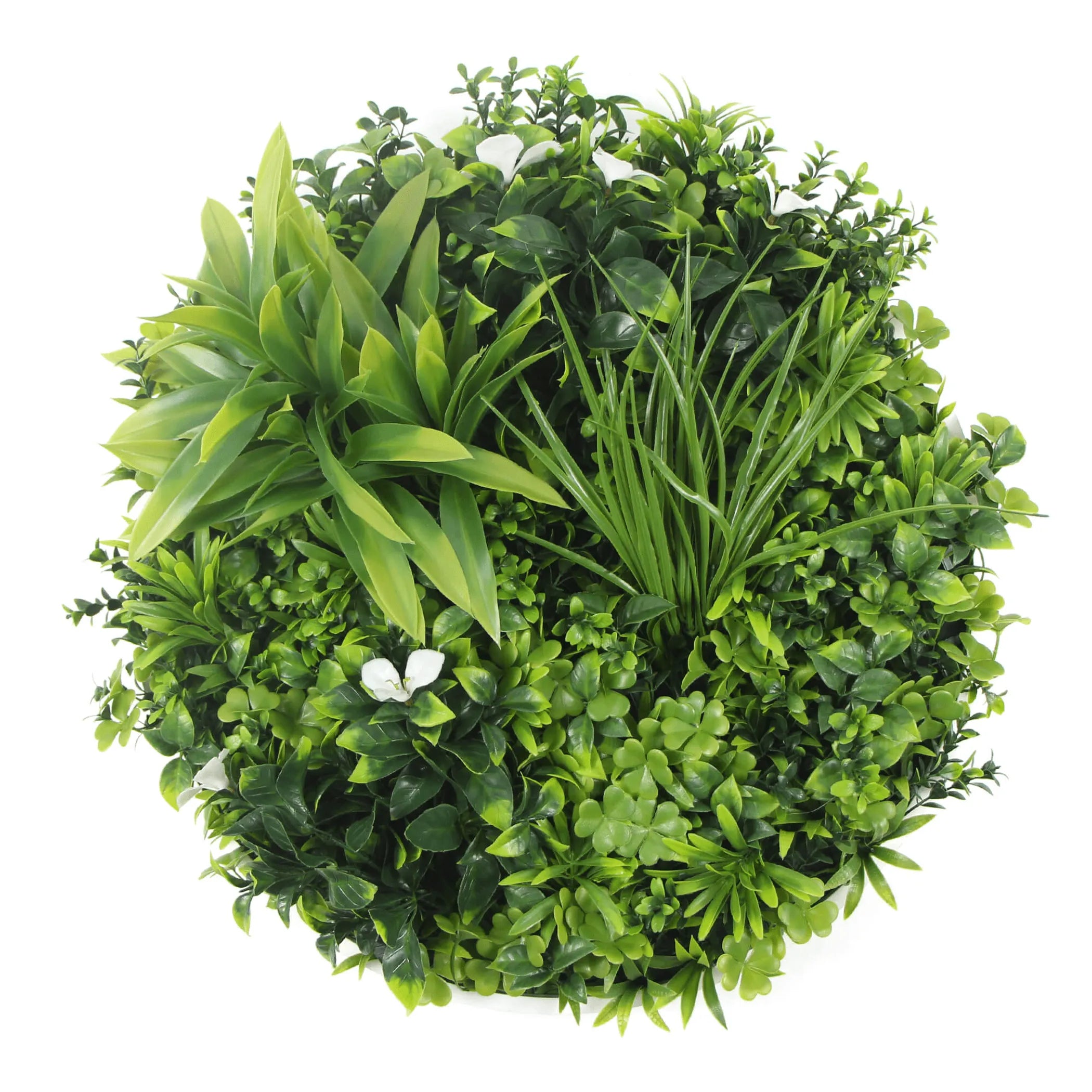 Artificial Green Wall Disc