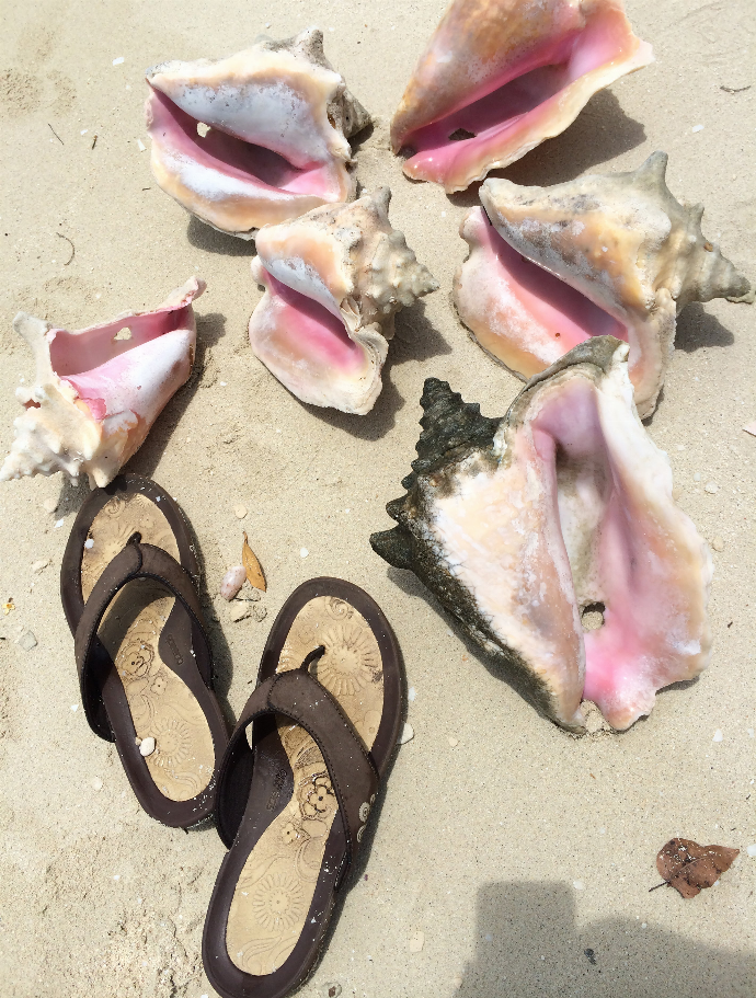 Finding Conch Puzzle