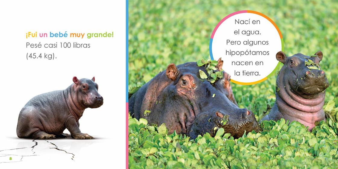 El principio de los Series
