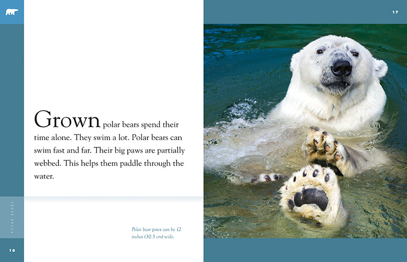 Amazing Animals - New Edition Series