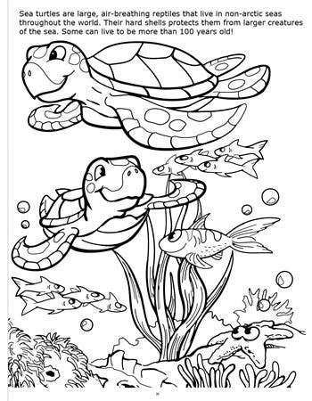 Underwater Adventures Big Coloring Books