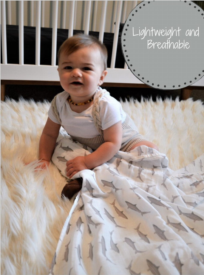 Baby Shark Swaddle