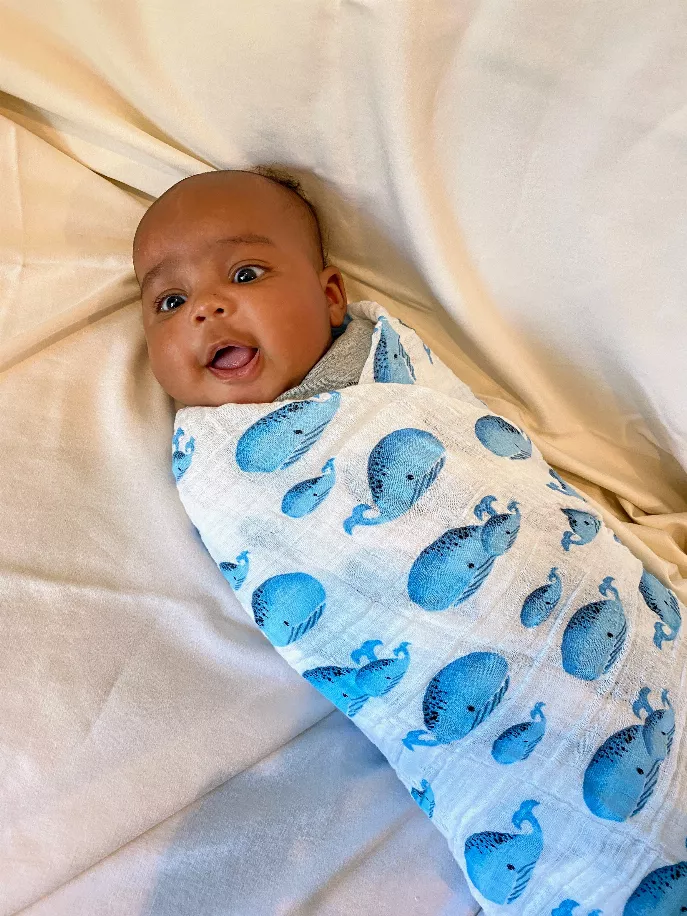 Whale, Whale, Whale Swaddle