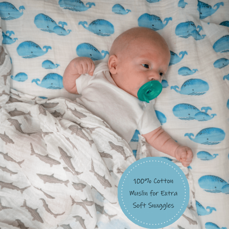 Whale, Whale, Whale Swaddle