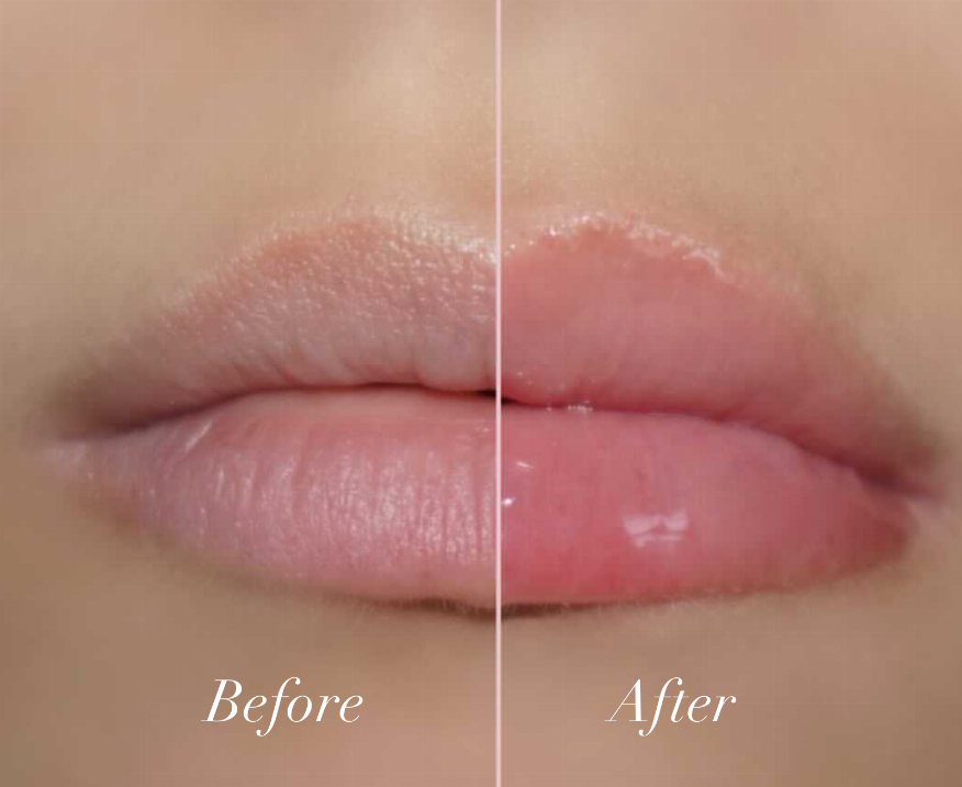 Rose Oil Petal Gloss
