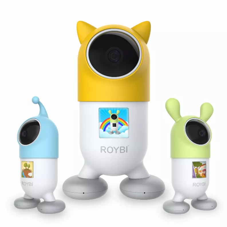 ROYBI Smart Educational Companion