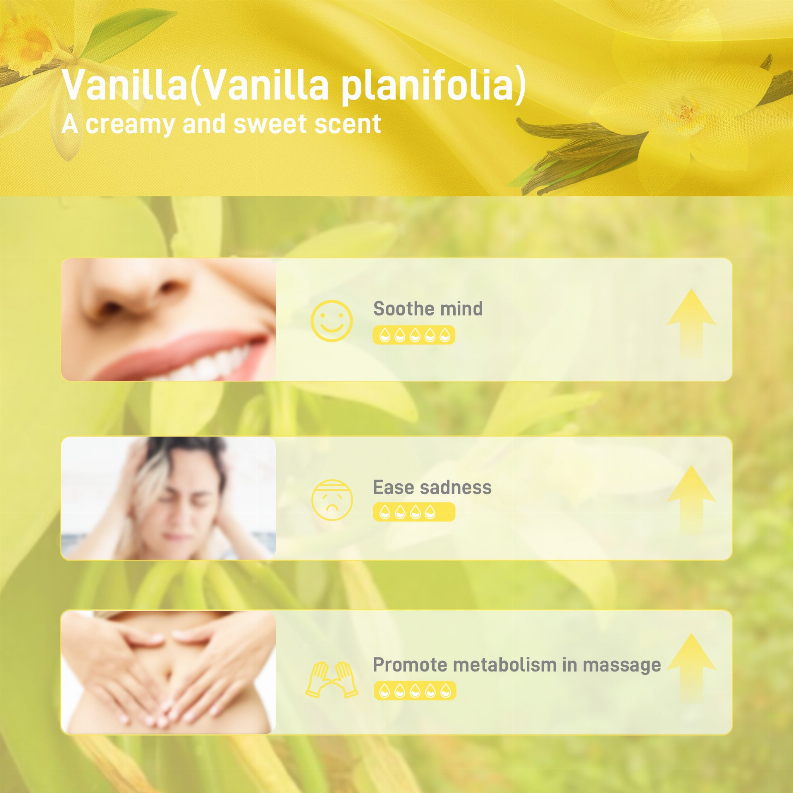 Vanilla