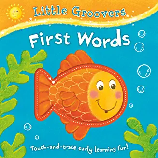 LittieGroovers- FIRST WORDS - Touch & trace learning fun (Age 0-3)