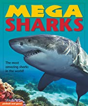 MEGA SHARKS - The most amazing sharks in the world! (Age 3+)