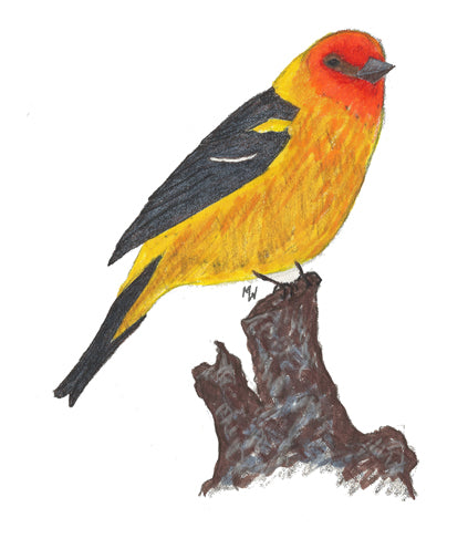 Western Tanager - Mini Puzzle