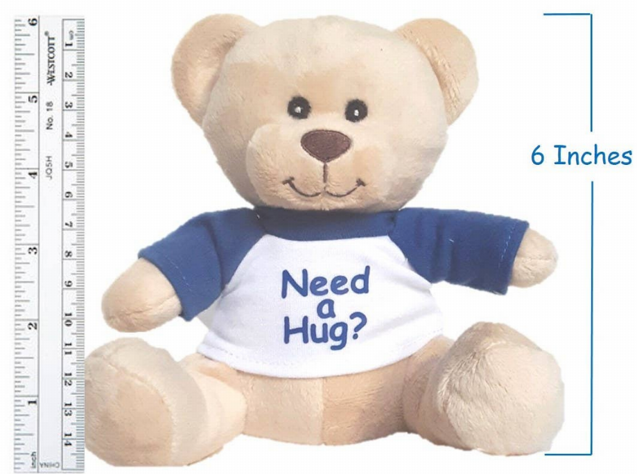"Need a Hug" Small Super Cute Teddy Bear