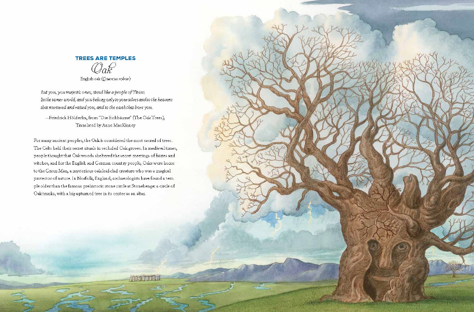The Universe Is a Tree