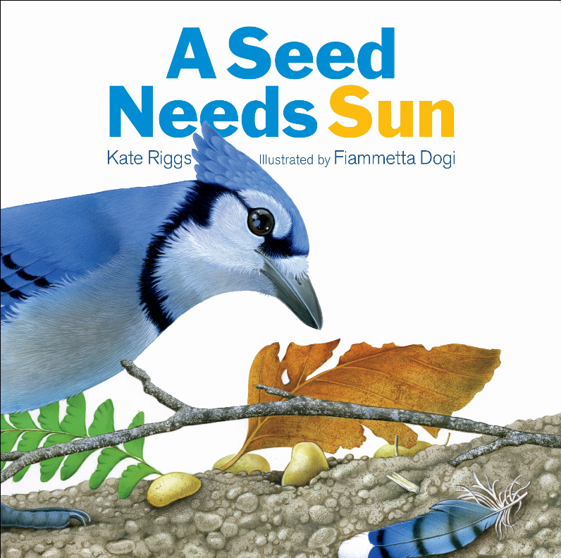 A Seed Needs Sun