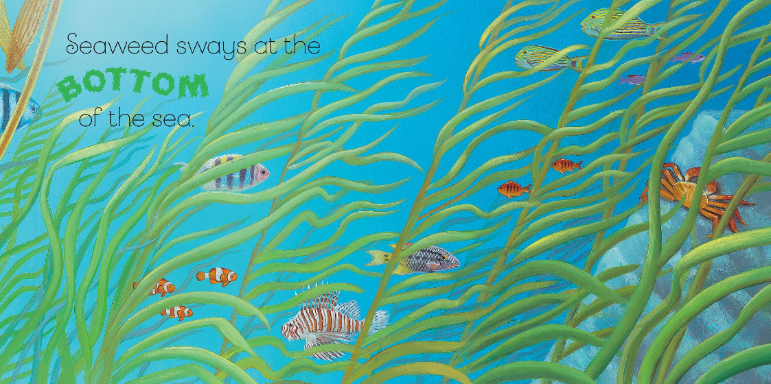 Under the Sea